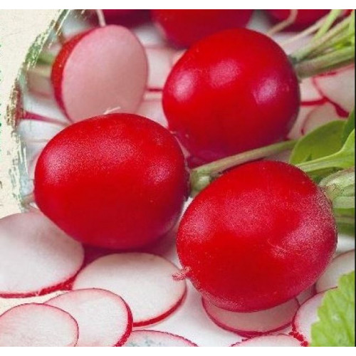 Семена редиса ЧЕРРИЭТ с сочной мякотью